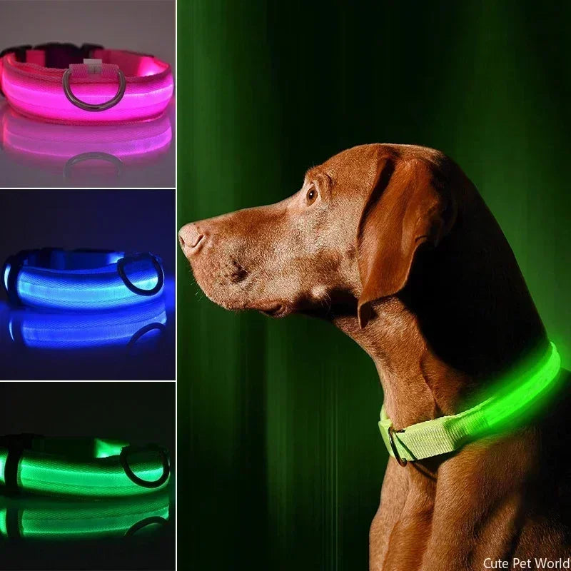 Coleira de Led Brilhante Para Cães, USB Recarregável, Luz Noturna Luminosa Piscando.